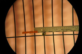 Optolyth 100 with XW20 - 31.5x
